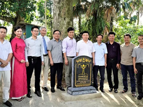 Hà Tĩnh: Hai cây trầm hương cổ được công nhận là Cây Di sản Việt Nam