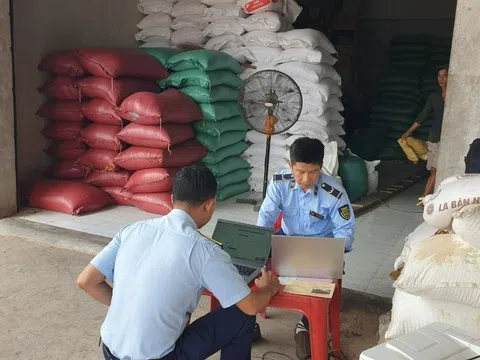 Bến Tre tạm giữ 52 tấn gạo nhập khẩu không có nhãn phụ bằng tiếng Việt Nam