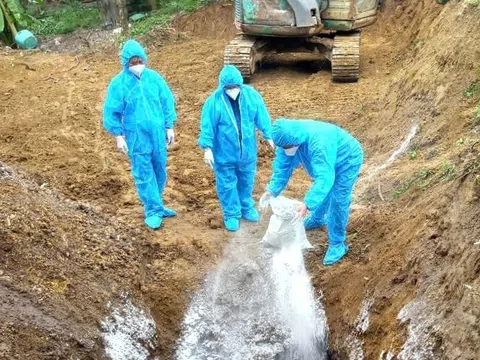 Kiểm soát dịch bệnh là yếu tố then chốt giúp ngành chăn nuôi đạt mục tiêu tăng trưởng