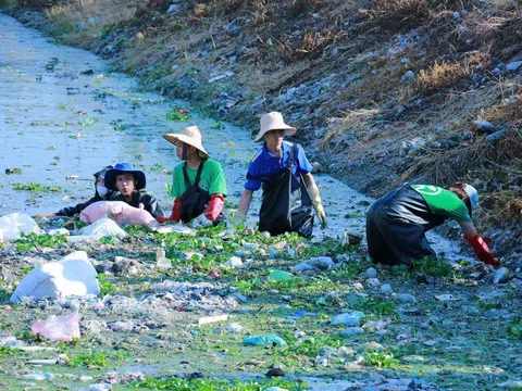 Hà Nội Xanh – Lan tỏa tình yêu môi trường từ những việc làm giản dị