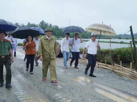 Bí thư tỉnh Quảng Nam kiểm tra tiến độ dự án liên kết vùng miền Trung