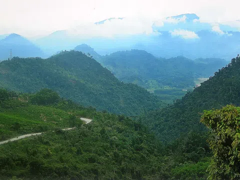 Nam Giang tăng cường biện pháp phòng chống cháy rừng