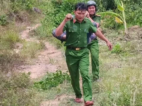 Lực lượng cảnh sát kịp thời cứu hai người đàn ông bị ong rừng tấn công nguy kịch