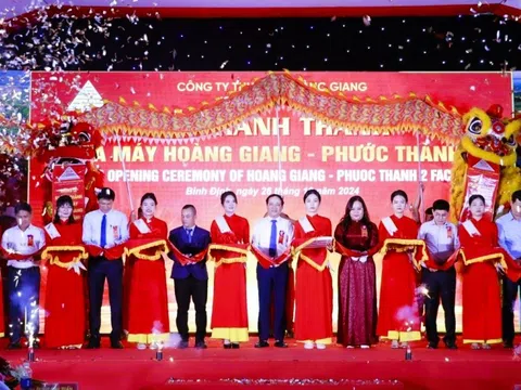 Khánh thành Nhà máy sản xuất sản phẩm đan nhựa giả mây và hoàn thiện sản phẩm gỗ nội thất ở Bình Định