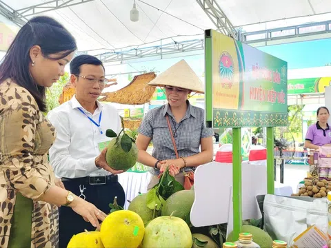 Thành tựu nổi bật trong xây dựng nông thôn mới và phát triển sản phẩm OCOP ở Hiệp Đức