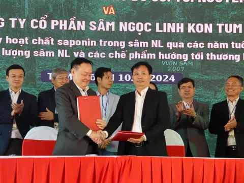 Hội thảo Phát triển và Bảo tồn quốc bảo Sâm Ngọc Linh: Giá trị Thương hiệu và Định hướng tương lai