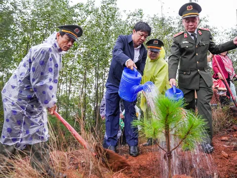 Quảng Nam tổ chức Tết trồng cây, phấn đấu hoàn thành mục tiêu trồng 51,6 triệu cây xanh