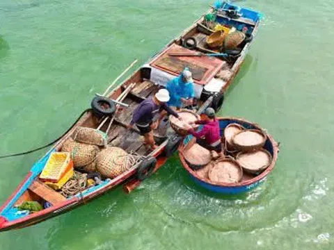 Ngư dân bội thu ruốc biển những ngày vươn khơi đầu xuân