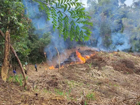 Gia Lai: Ban quản lý rừng phòng hộ Chư Mố triển khai phòng cháy, chữa cháy rừng mùa khô 2024-2025