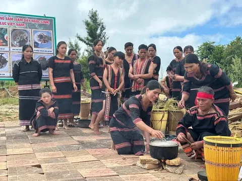 Kon Tum: Khai mạc phiên chợ sâm Ngọc Linh, dược liệu
