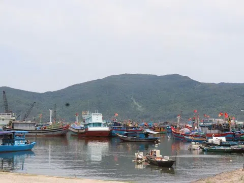 Đà Nẵng quyết liệt chống khai thác IUU, hướng đến nghề cá bền vững