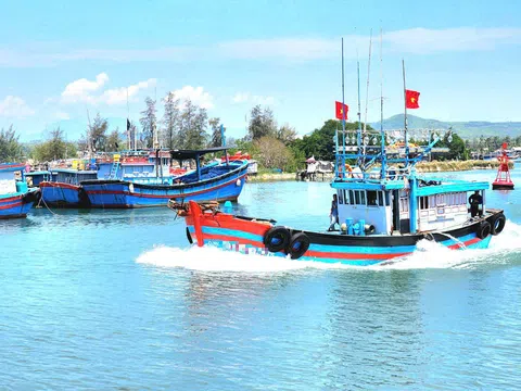 Quảng Ngãi: Xử phạt hàng loạt thuyền trưởng vi phạm quy định khai thác thủy sản