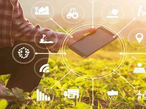Khởi nghiệp nông nghiệp công nghệ - Cơ hội hay thách thức cho giới trẻ?