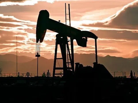 Mỹ đề xuất yêu cầu các nước xem xét giải phóng một phần dự trữ dầu thô để hạ giá dầu