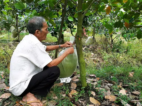 Trà Vinh hỗ trợ nông dân đưa sản phẩm nông nghiệp lên sàn thương mại điện tử