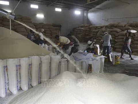Thị trường nông sản thế giới: Giá gạo xuất khẩu Ấn Độ thấp nhất ba tháng