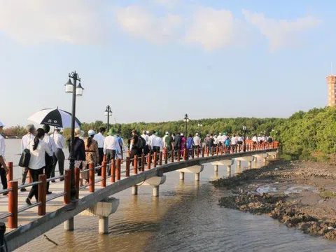 Cà Mau: Tạo đà cho nông nghiệp phát triển bền vững