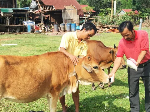 Tăng hiệu quả tín dụng chính sách xã hội