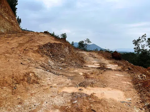 Nghệ An: Ai chịu trách nhiệm cho việc “trộm” lấy đi hàng ngàn mét khối đất rừng?