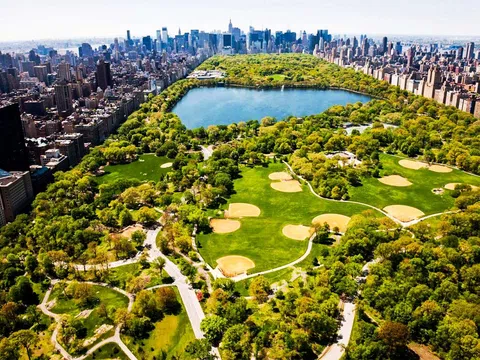 New York, thành phố xanh nhất thế giới?