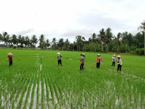 Nông dân xuống giống vụ Đông Xuân với nỗi lo giá vật tư