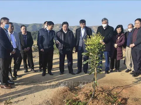 Bộ trưởng Lê Minh Hoan: Điện Biên nên ưu tiên phát triển sản phẩm nông nghiệp thế mạnh