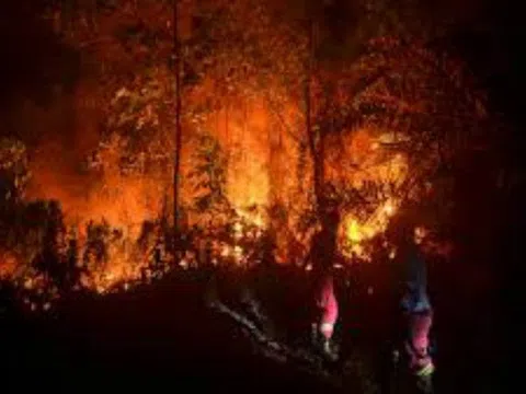 Indonesia nỗ lực đối phó với khói bụi độc hại