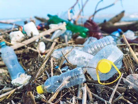 14 Cách đơn giản để giảm thiểu rác thải nhựa