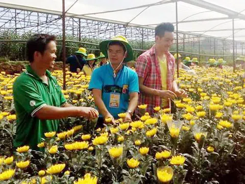 Lâm Đồng đẩy mạnh canh tác nông nghiệp công nghệ cao
