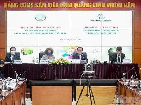 Hệ thống lương thực thực phẩm có khả năng thích ứng, hướng tới tương lai