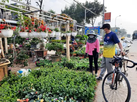 Thị trường hoa cây, cảnh Tết tại Nghệ An vẫn sôi động dù dịch covid 19