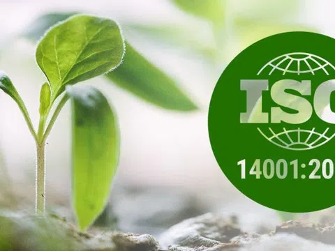 Giảm bớt tác động tiêu cực của doanh nghiệp đến môi trường bằng ISO 14001