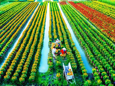Kinh tế xanh và thực tiễn tại Việt Nam