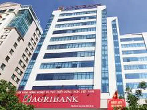 Quản lý rủi ro tín dụng cá nhân tại ngân hàng Agribank - chi nhánh huyện Tân Lạc, tỉnh Hòa Bình.