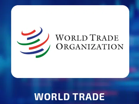 12/1 Việt Nam đàm phán gia nhập WTO, nhìn lại cơ hội và thách thức