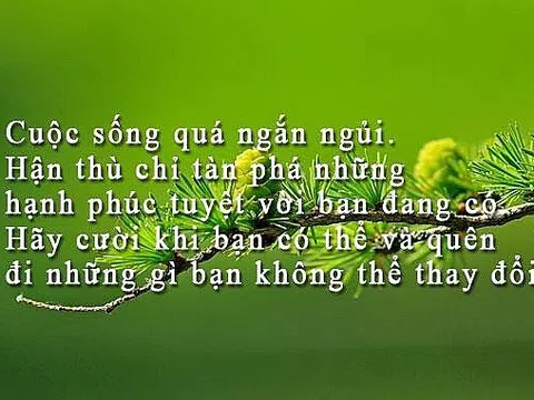 Yêu nên tốt, ghét nên xấu