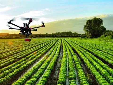 Nông nghiệp chính xác, tương lai của nông nghiệp toàn cầu