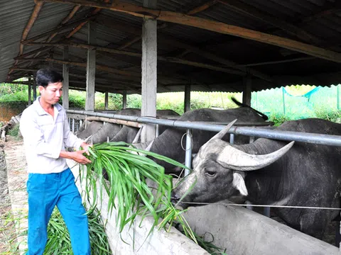 Bắc Quang (Hà Giang) khai thác lợi thế địa lý để phát triển kinh tế - xã hội bền vững