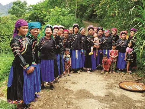 Đại ngàn trên cao nguyên đá