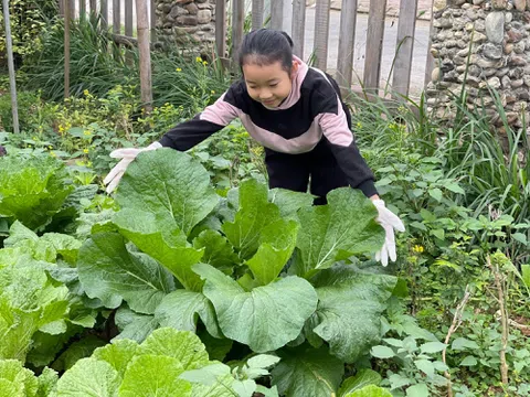 An nhiên giữa lòng thành phố Hà Giang