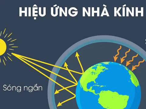 TP Hồ Chí Minh: Chung tay giảm phát thải khí nhà kính CO2