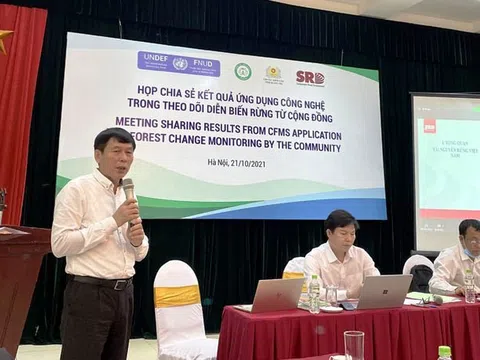 Ứng dụng công nghệ CFMS trong giám sát, bảo vệ rừng tại Việt Nam
