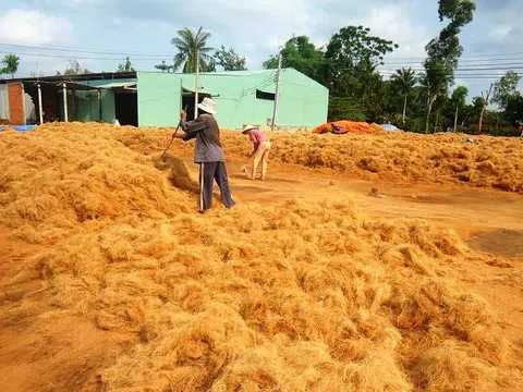 Giá thể xơ dừa trong nông nghiệp không dùng đất