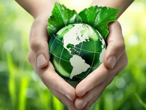 Doanh nghiệp vì môi trường xanh và phát triển bền vững