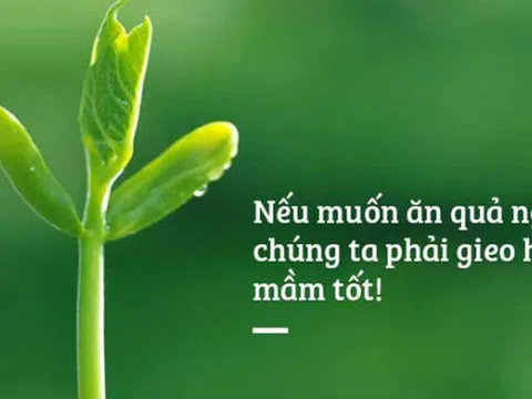 Chuyện về luật Nhân - Quả!