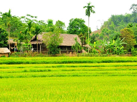 Xã Phương Thiện, TP Hà Giang đánh giá đạt tiêu chí nông thôn mới nâng cao