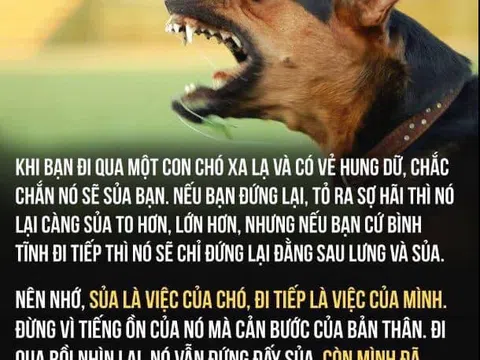 Về câu ngạn ngữ “Chó cứ sủa đoàn người cứ đi”