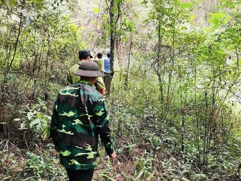 Sơn La: Kiên quyết thu hồi rừng nếu để xảy ra mất rừng