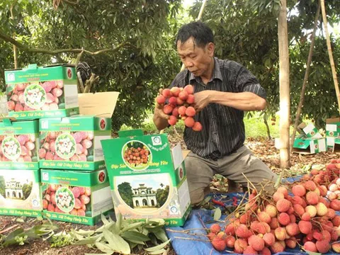 Lưu ý một số mặt hàng nông sản chưa đạt chuẩn của EU