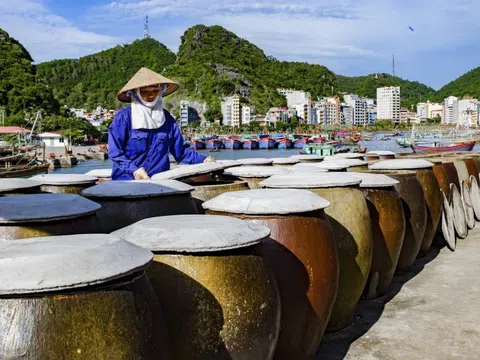 Nước mắm truyền thống Cát Hải, thực phẩm sạch dưới góc nhìn nghệ thuật ẩm thực